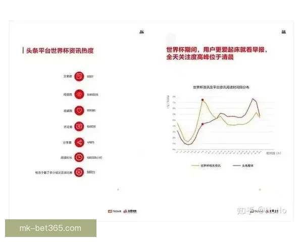 世界杯用球售价高达130镑 巴基斯坦制球工人周薪仅26镑薪资差距引关注